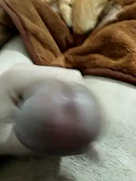 Snapshot of Zepe_12 chatting on January 8, 2026, 5:19 pm Zepe 12 online show from January 8, 2026, 5:19 pm