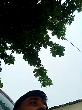 Raju fuckerr online show from November 2, 2025, 8:30 am