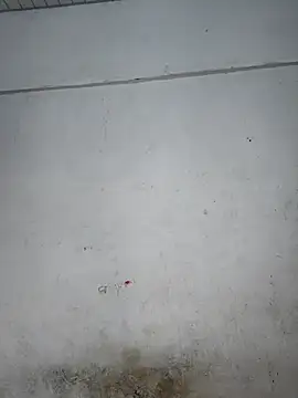 Snapshot of Your-Samayra chatting on September 16, 2025, 9:32 am Your-Samayra online show from September 16, 2025, 9:32 am