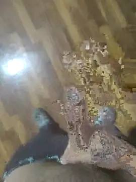 rayane7xx online show from November 28, 2025, 3:23 pm