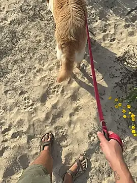 haramnarab online show from October 28, 2025, 12:37 pm