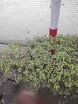 monty935 online show from December 4, 2025, 11:42 am