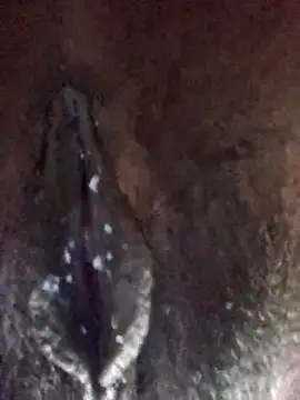 xnmx26 online show from March 29, 2026, 2:57 am