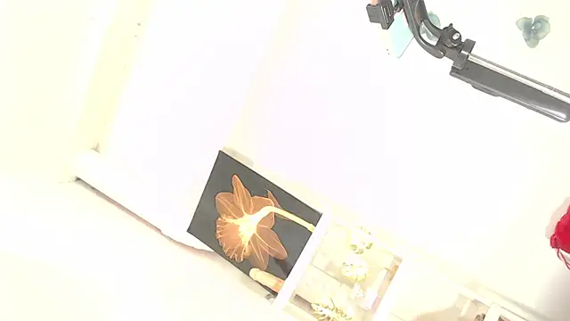 WildAsianHorseDICKts online show from December 21, 2025, 1:57 pm