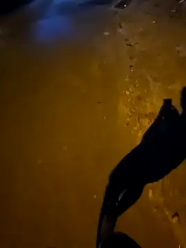 Kunbet online show from April 9, 2026, 3:51 pm