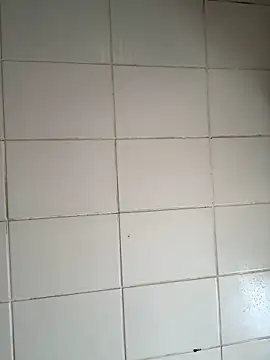 Novinhodotadomg online show from November 6, 2025, 1:48 pm