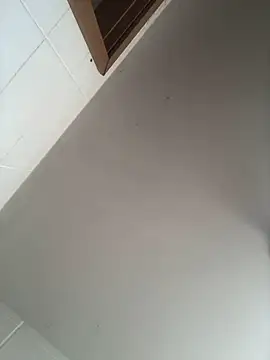 Novinhodotadomg online show from October 29, 2025, 3:33 pm