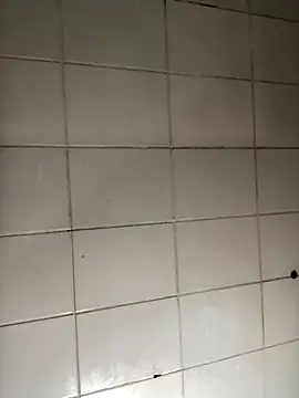 Novinhodotadomg online show from November 13, 2025, 9:19 pm