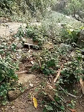 MuiNay online show from April 17, 2026, 9:45 am