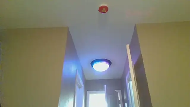 Snapshot of LeeCox chatting on January 10, 2026, 10:43 am LeeCox online show from January 10, 2026, 10:43 am