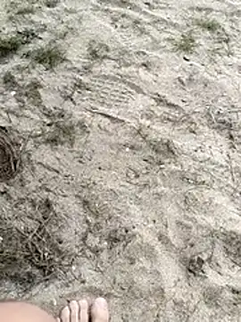 pegaso369 online show from February 26, 2026, 11:32 am