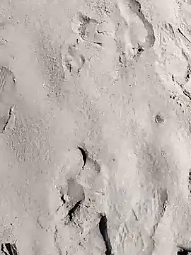 Snapshot of pegaso369 chatting on March 28, 2026, 11:11 am pegaso369 online show from March 28, 2026, 11:11 am