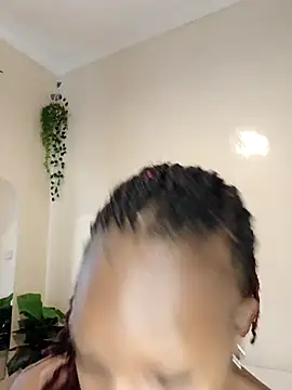 Nedambale online show from February 24, 2026, 10:16 am