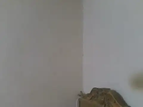 elpoop7305 online show from July 19, 2026, 4:10 am