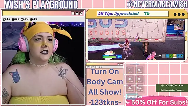 Snapshot of nevermakeawish chatting on February 17, 2026, 3:42 pm nevermakeawish online show from February 17, 2026, 3:42 pm