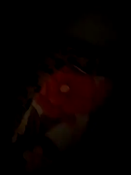 tyteo1010 online show from December 22, 2025, 3:01 pm