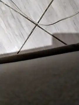 Snapshot of Maeefilha244 chatting on November 12, 2025, 12:53 pm Maeefilha244 online show from November 12, 2025, 12:53 pm