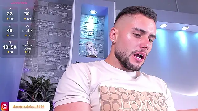 Snapshot of dominic_de_luca chatting on February 7, 2026, 4:31 am dominic de luca online show from February 7, 2026, 4:31 am