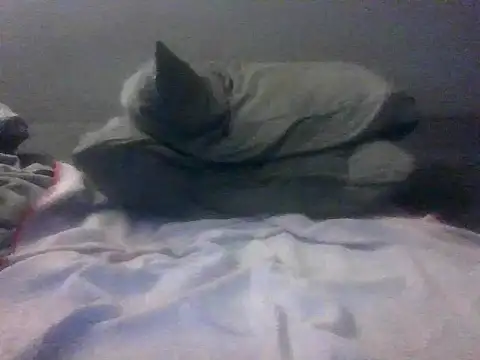 Snapshot of buajan chatting on May 16, 2026, 12:42 am buajan online show from May 16, 2026, 12:42 am