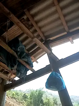 Snapshot of CoMay003 chatting on April 12, 2026, 4:49 am CoMay003 online show from April 12, 2026, 4:49 am