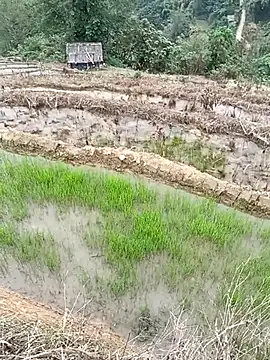 Snapshot of CoMay003 chatting on April 1, 2026, 6:15 am CoMay003 online show from April 1, 2026, 6:15 am