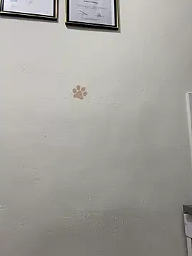 Snapshot of Mariaotalvaro chatting on September 29, 2025, 10:59 pm Mariaotalvaro online show from September 29, 2025, 10:59 pm