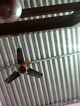 Cute-Swewty online show from November 18, 2025, 2:53 pm