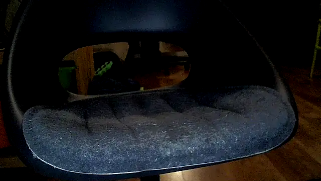 Snapshot of TobyDick13 chatting on January 17, 2026, 11:30 pm TobyDick13 online show from January 17, 2026, 11:30 pm