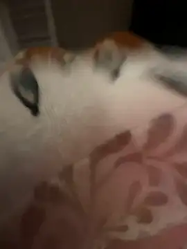 rockey118367 online show from October 19, 2025, 9:45 am