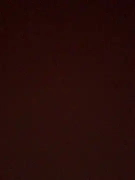 BrusqueEuphoria online show from October 11, 2025, 4:57 am