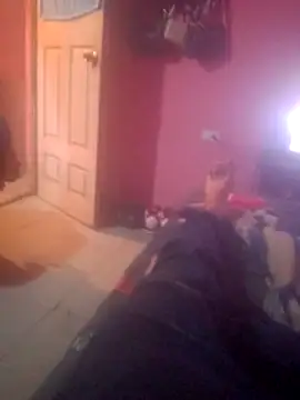 shessAz online show from February 7, 2026, 3:09 pm