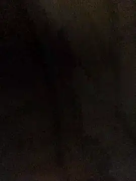 luislimafuego online show from October 27, 2025, 8:48 am