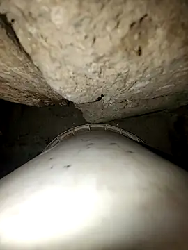 Snapshot of princexdcs chatting on February 10, 2026, 9:14 pm princexdcs online show from February 10, 2026, 9:14 pm