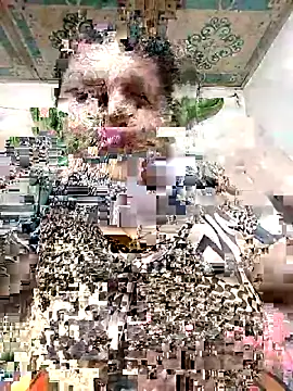 Payel 50 online show from May 25, 2026, 4:28 pm