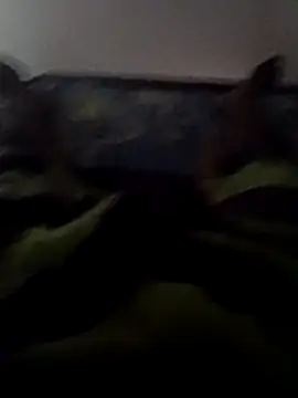 ceyloanboy online show from May 19, 2026, 1:56 am