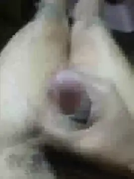 Vizgeboys online show from March 29, 2026, 9:33 am