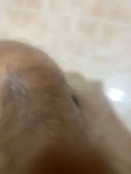 Binuthomas online show from November 24, 2025, 5:02 pm