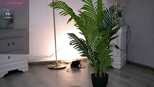 HotMollyX online show from January 11, 2026, 5:58 am