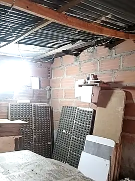 hoteder online show from January 14, 2026, 12:31 pm