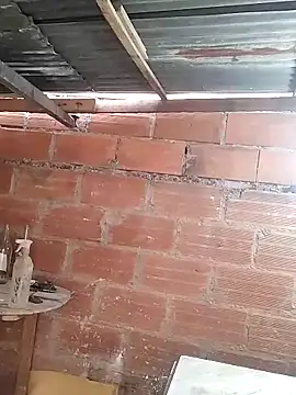 hoteder online show from March 23, 2026, 12:27 pm