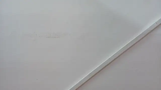 Lizbeth Rouse online show from October 26, 2025, 1:00 pm