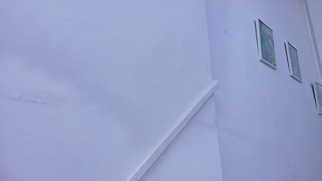 Lizbeth Rouse online show from November 8, 2025, 11:14 am