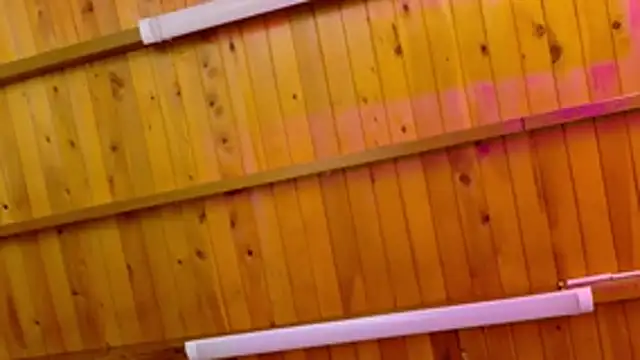 Lizbeth Rouse online show from January 12, 2026, 10:22 am