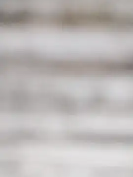 Snapshot of SweetSun69 chatting on February 22, 2026, 11:23 am SweetSun69 online show from February 22, 2026, 11:23 am