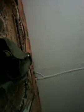 Romashka33011 online show from November 3, 2025, 9:13 am