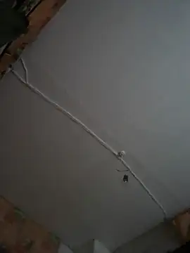 Romashka33011 online show from November 6, 2025, 8:18 am