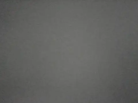 misticamey online show from February 21, 2026, 3:14 pm