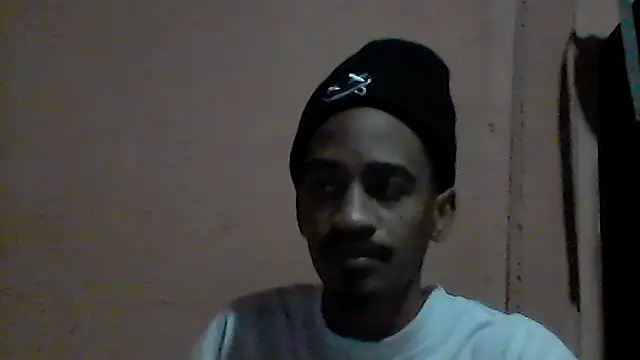 gemini loops online show from July 13, 2026, 8:13 am