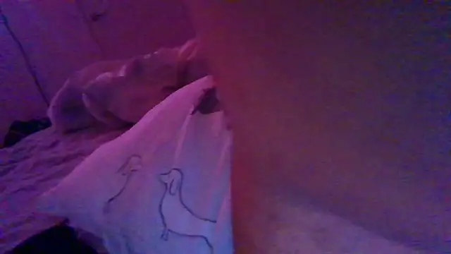 Shy straightguy online show from November 24, 2025, 5:02 pm