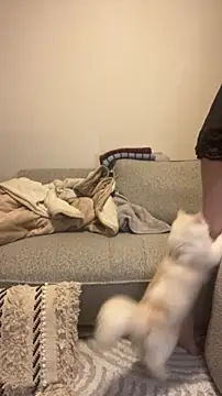 misa mo online show from April 10, 2026, 1:07 pm